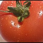 Tomate