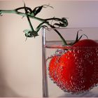 Tomate en effervescence