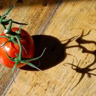 Tomate et son ombre