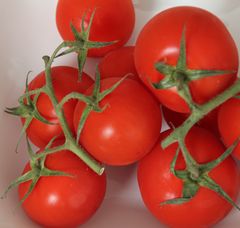 Tomate