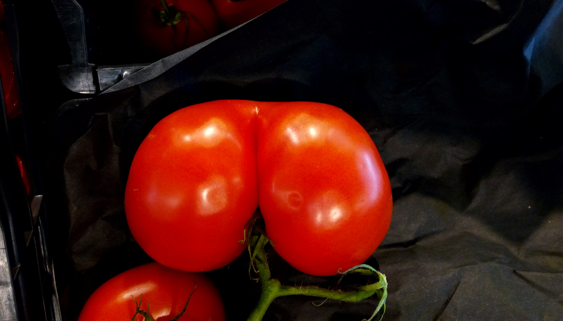 Tomate " FORMSCHÖN"