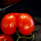 Tomate " FORMSCHÖN"