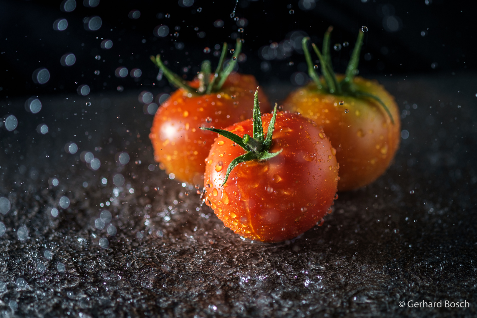 Tomate Im Regen