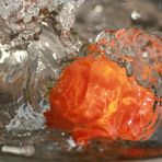 Tomate im Wasserbad