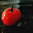 Tomate in Szene gesetzt