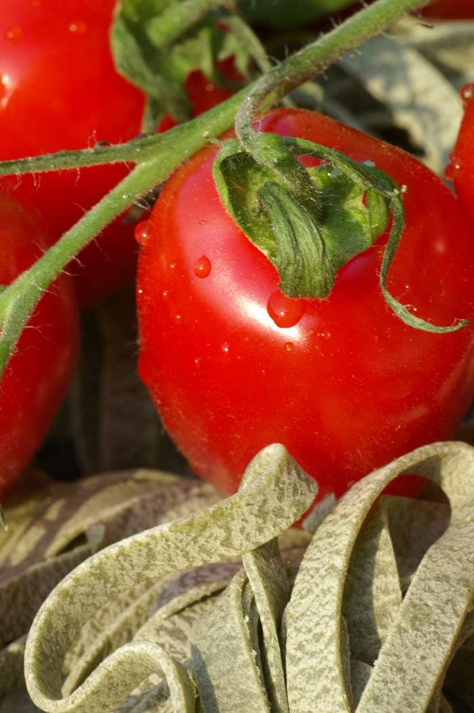 Tomate mit Bandnudel