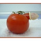 Tomate mit Mützchen