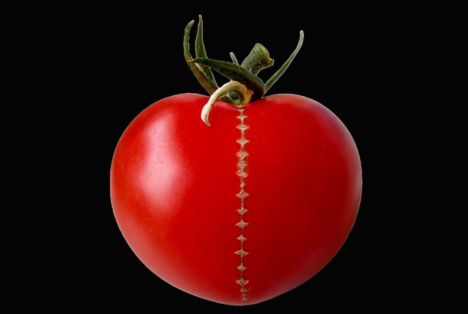 Tomate mit Reißverschluss