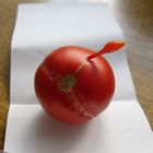 Tomate winkt