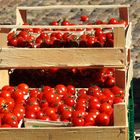 Tomaten