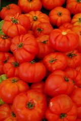 Tomaten