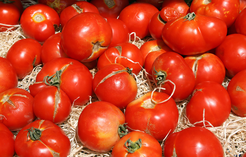 Tomaten