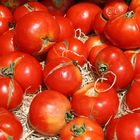 Tomaten