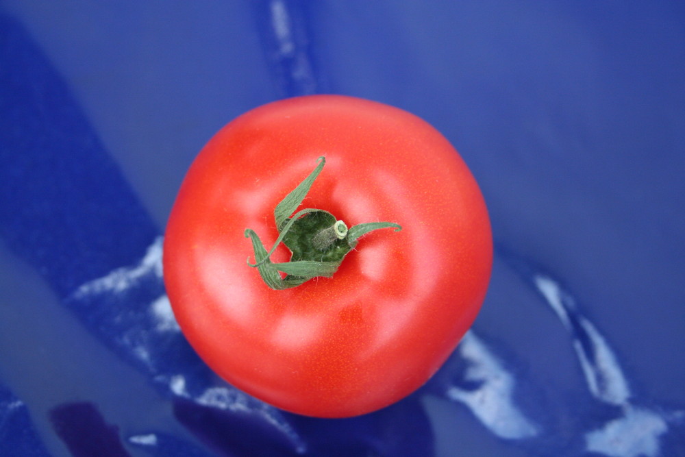 Tomaten