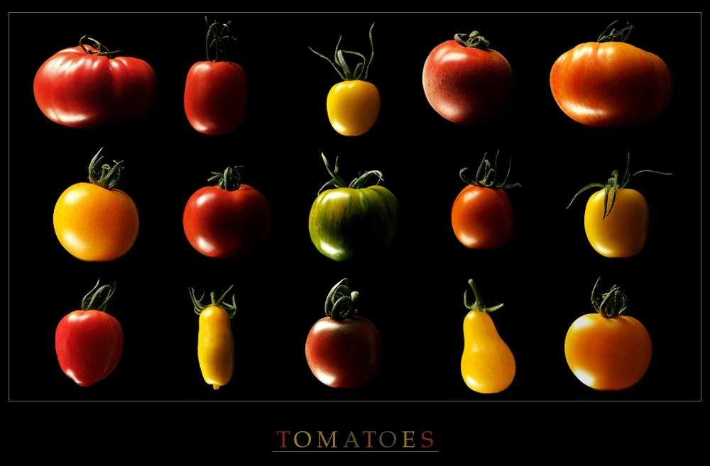 Tomaten