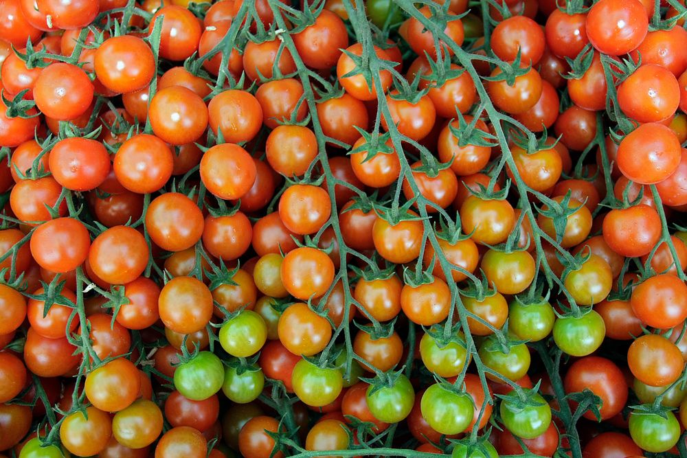 Tomaten