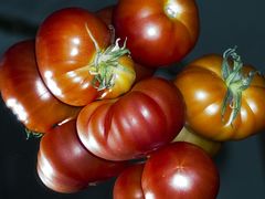 Tomaten