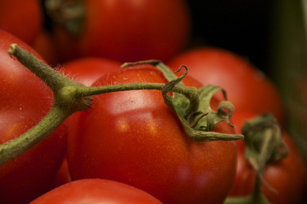 Tomaten