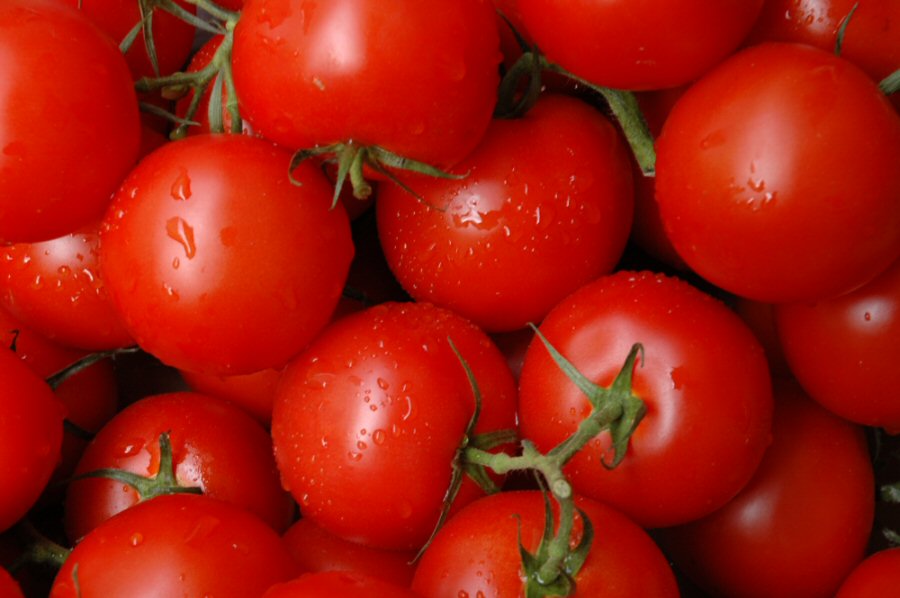 Tomaten