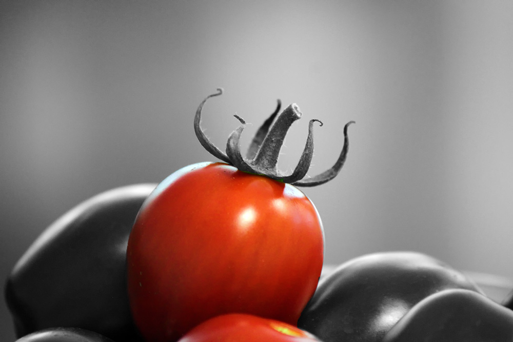 Tomaten