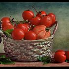 Tomaten 