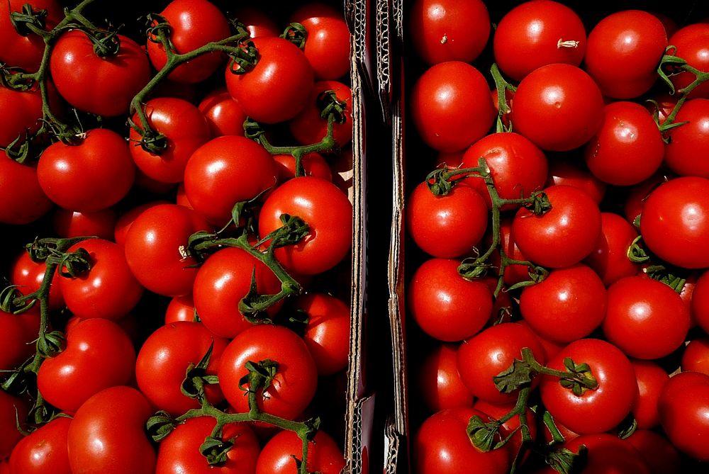 Tomaten 3,99 € (links)   Bio-Tomaten 8,95 € (rechts)