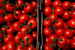 Tomaten 3,99 € (links)   Bio-Tomaten 8,95 € (rechts)