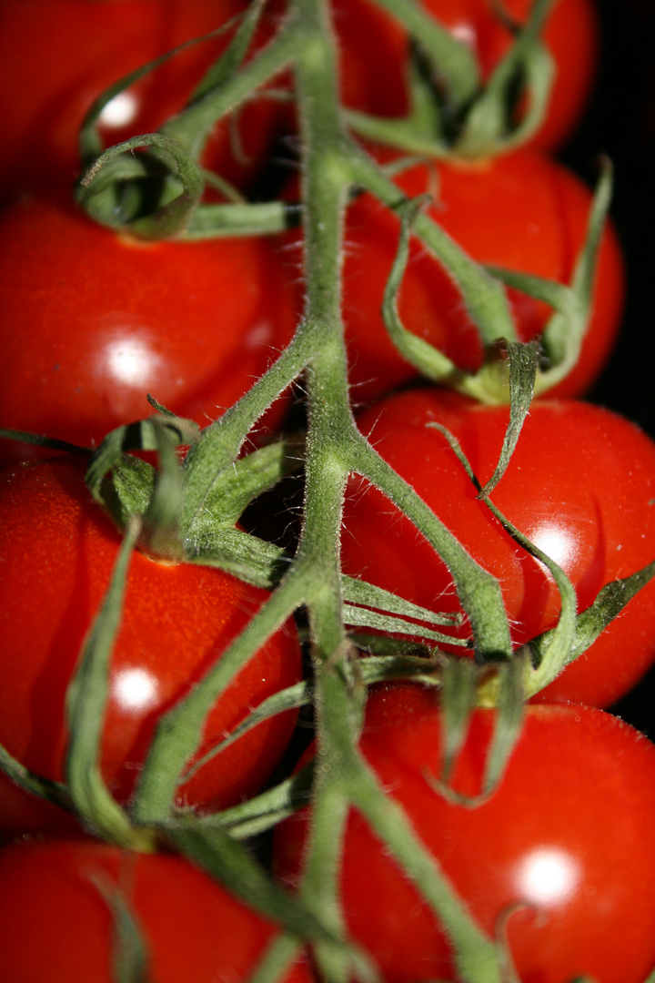 Tomaten