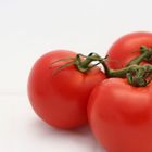 Tomaten