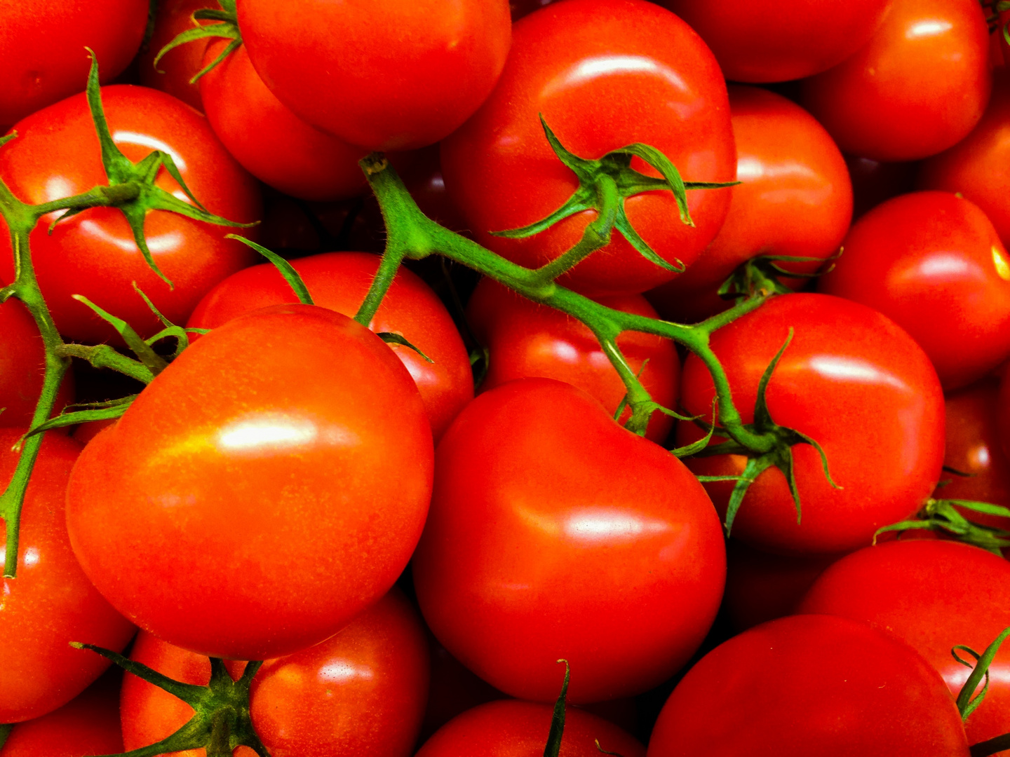 Tomaten