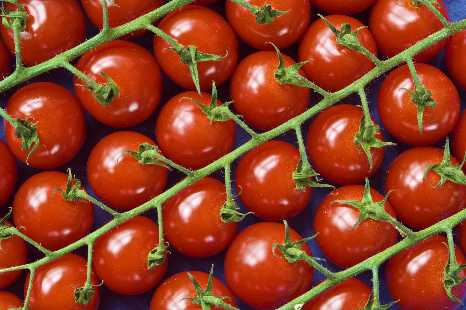 Tomaten