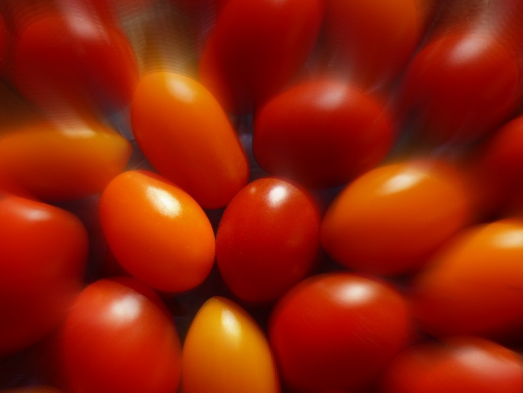 Tomaten