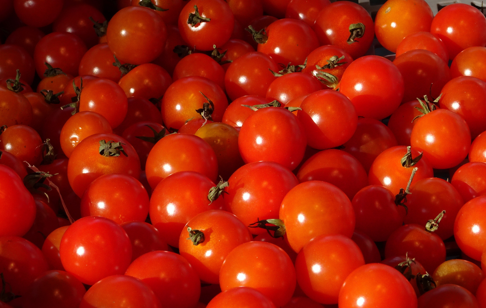 Tomaten