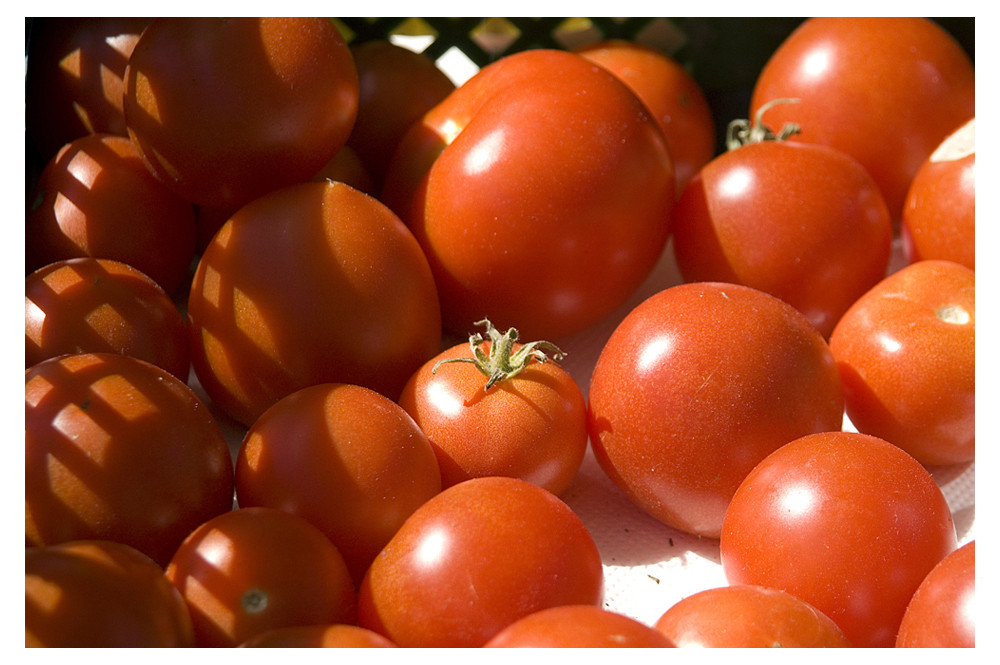 Tomaten ...