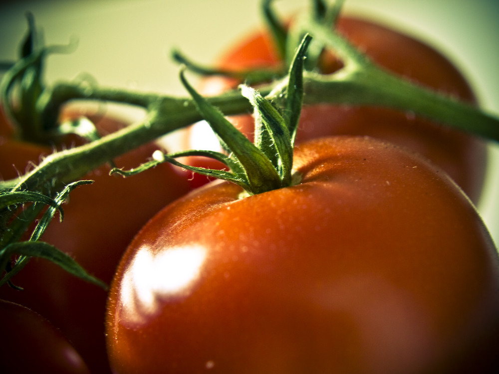 tomaten