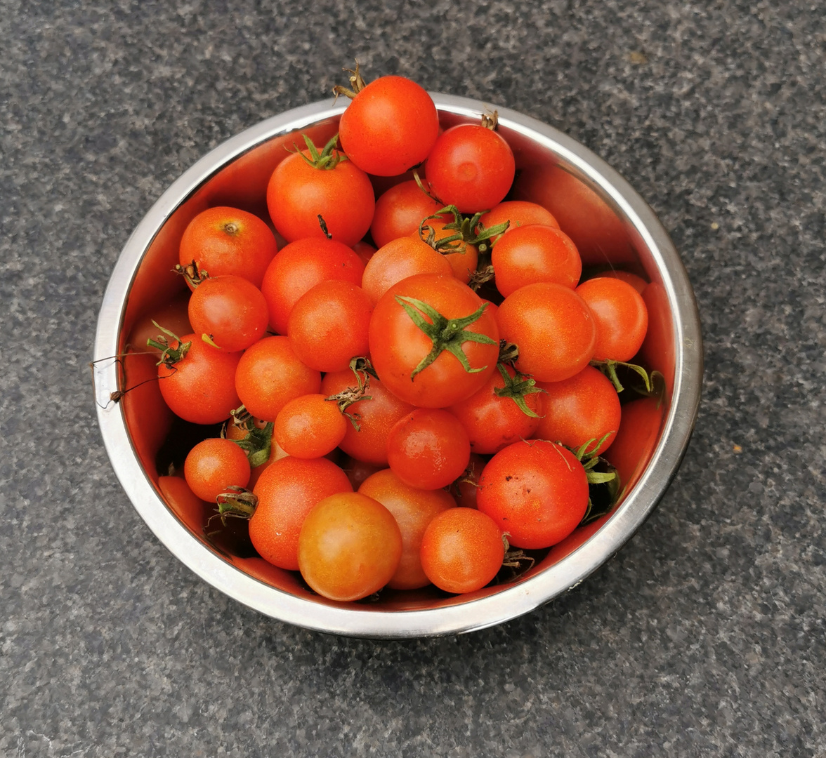 Tomaten