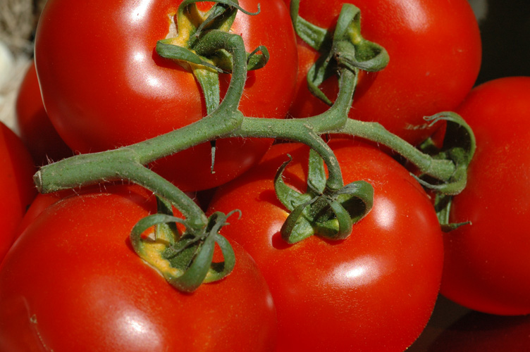 Tomaten