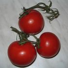 Tomaten