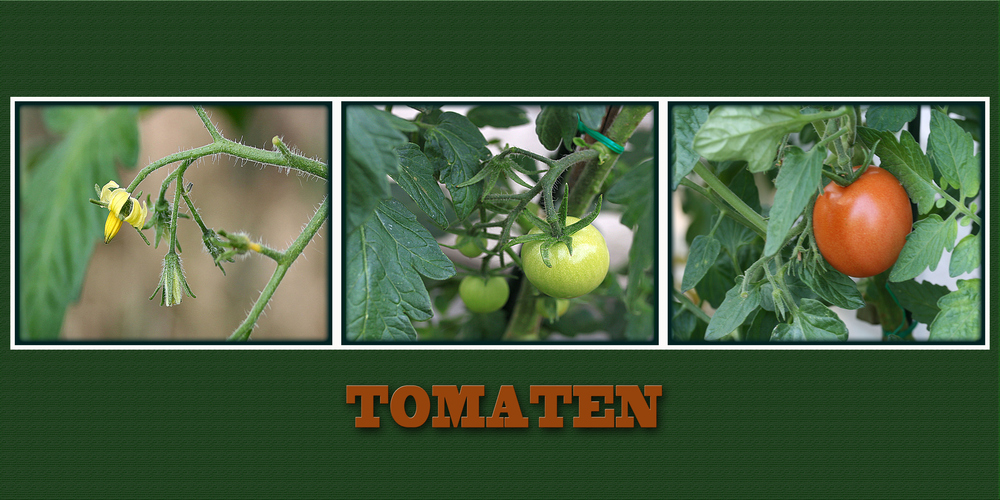 TOMATEN