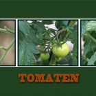 TOMATEN