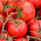 Tomaten