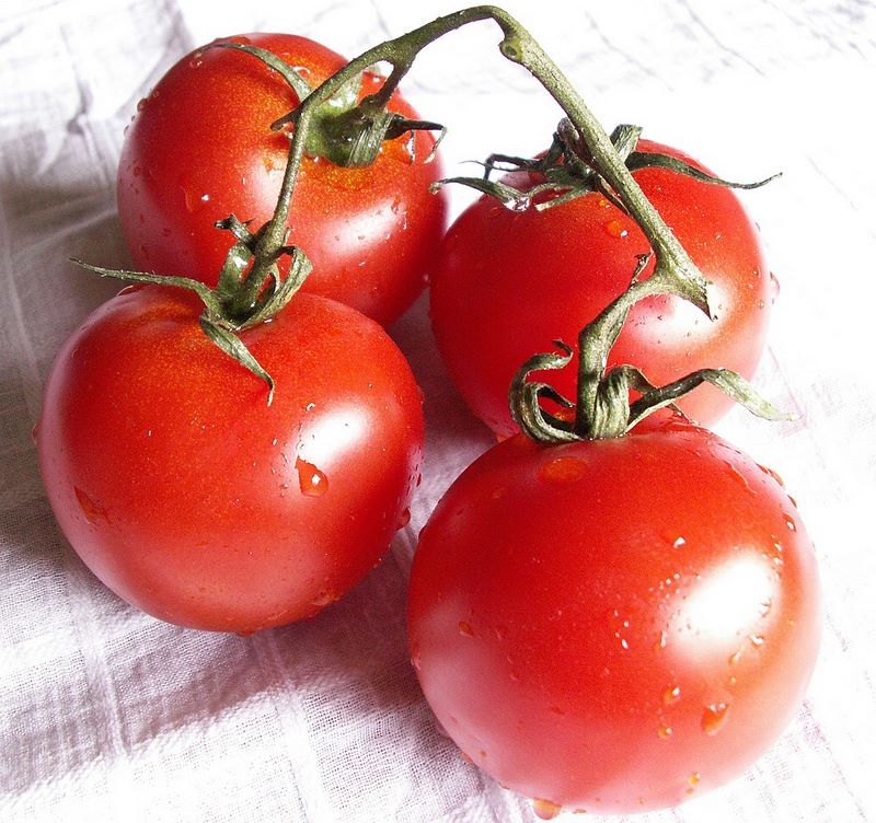 Tomaten