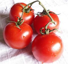 Tomaten