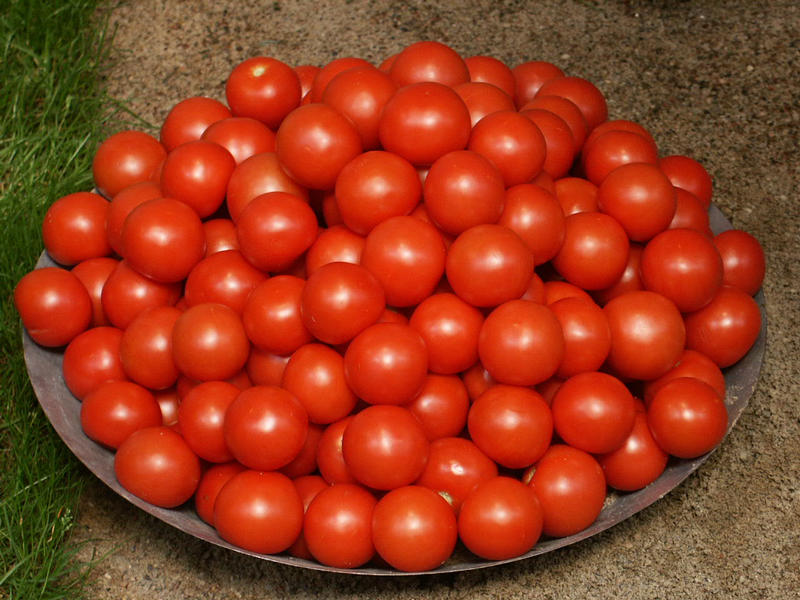 Tomaten.....