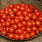 Tomaten.....