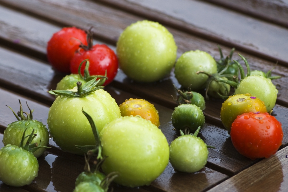 Tomaten allerlei