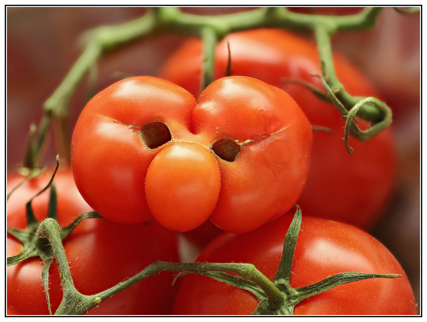 Tomaten auf den Augen...? Falsch...