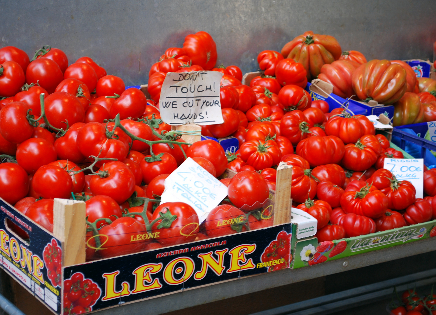 Tomaten auf einem Markt in Bologna