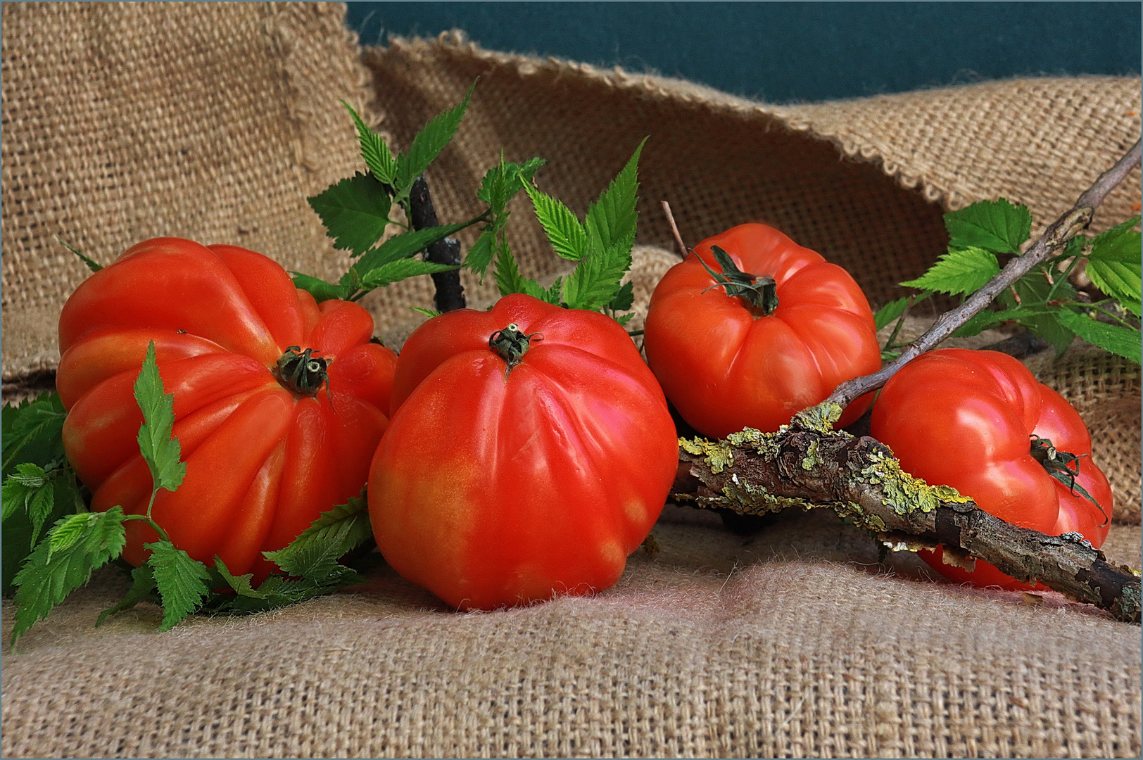 Tomaten aus dem Markt 
