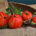 Tomaten aus dem Markt 